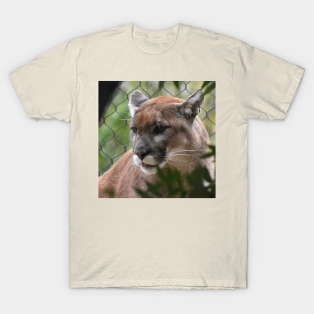 Mountain Lion T-Shirt by Sharonzoolady